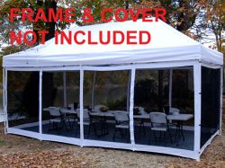 King Canopy Instant Canopy Explorer 10 x 20 Screen Room Only